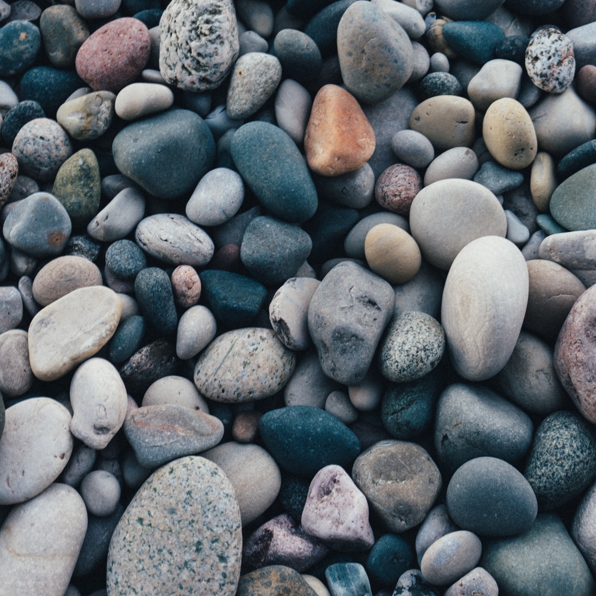 scott-webb-xgAcJZRk9_8-unsplash-1